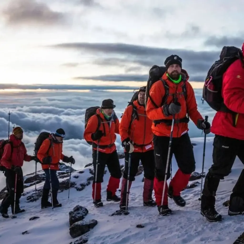 Explore 6 Days Lemosho Route Mt Kilimanjaro Trekking for 6 days with Afrishare Trekking And Safaris and discover unforgettable experiences - Photo 2