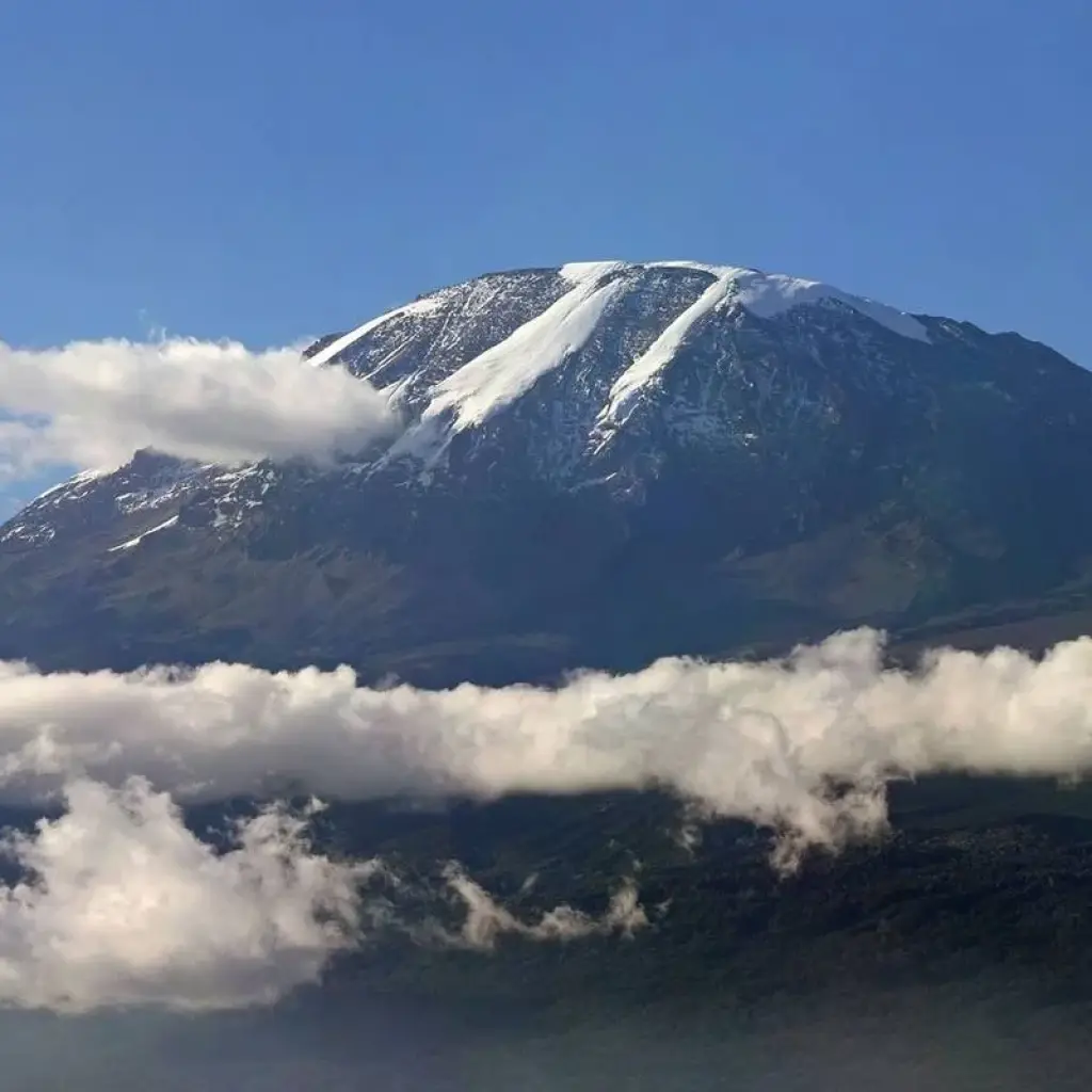 Explore Mount Kilimanjaro day hike tour for 1 days with Afrishare Trekking And Safaris and discover unforgettable experiences - Photo 2