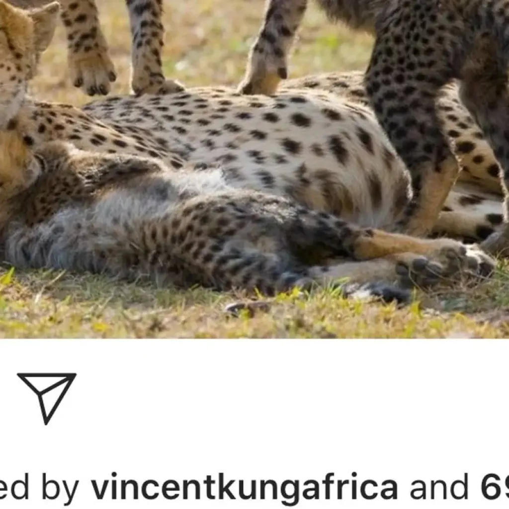 Explore 3  days Semi  luxury tour  featuring Serengeti & Ngorongoro crater for 3 days with Afrishare Trekking And Safaris and discover unforgettable experiences - Photo 2