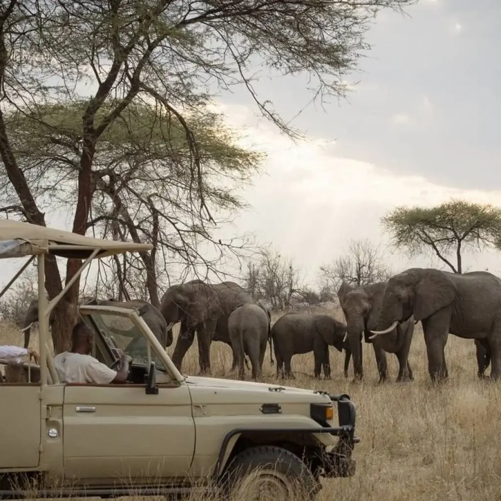 Explore 6 Day Safari Big Five at Selous and Ruaha for 6 days with Afrishare Trekking And Safaris and discover unforgettable experiences - Photo 2