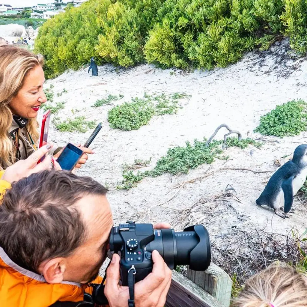 Explore Tailor-Made Best South Africa Tours, Daily Departure & Private Trip for 9 days with Agate Travel and discover unforgettable experiences - Photo 3