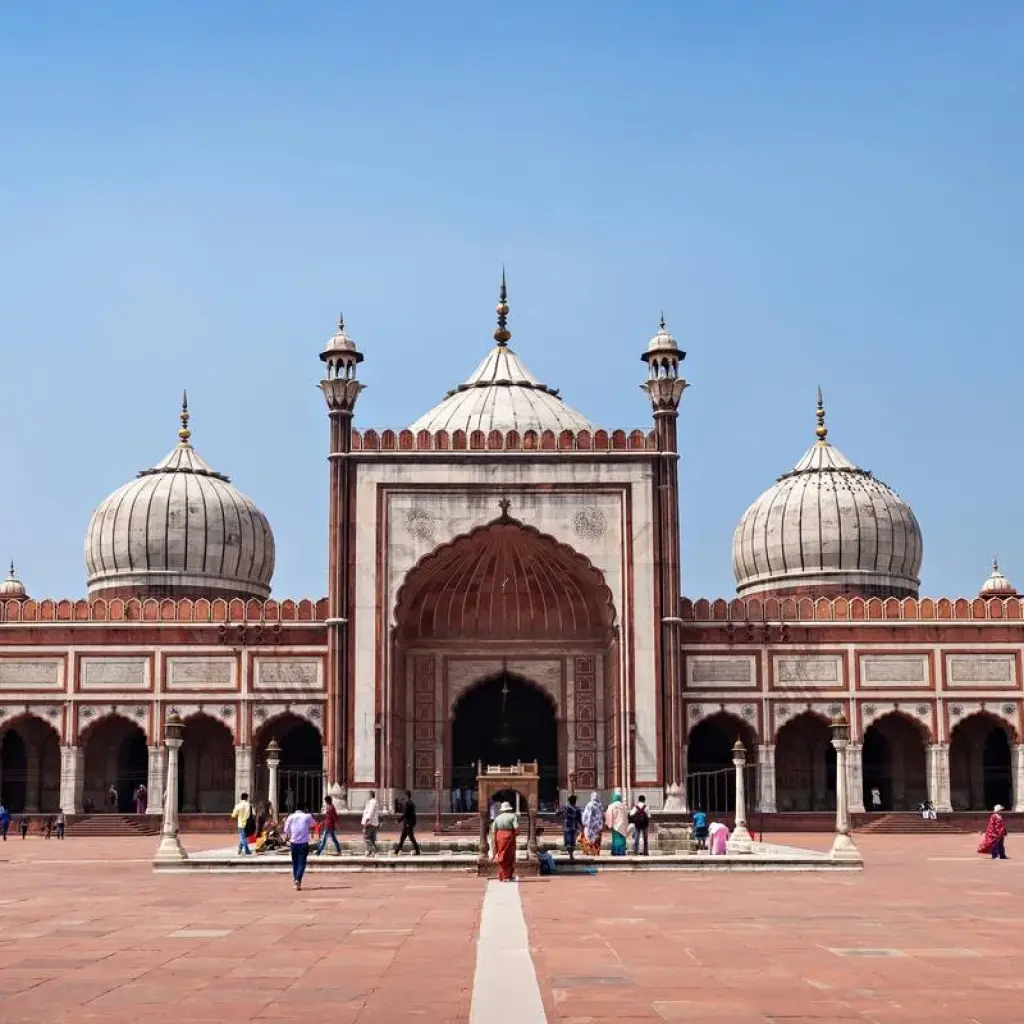 Explore Golden Triangle Tour with Ranthambore & Jhalana Leopard Safari for 5 days with Agra Taj Visit and discover unforgettable experiences - Photo 5