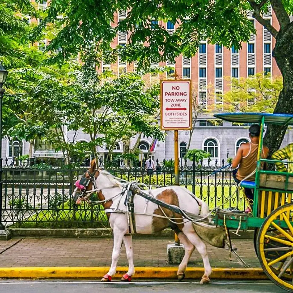 Explore Tailor-Made Best Philippines Tour with Daily Departure & Private Guide for 7 days with Agate Travel and discover unforgettable experiences - Photo 2