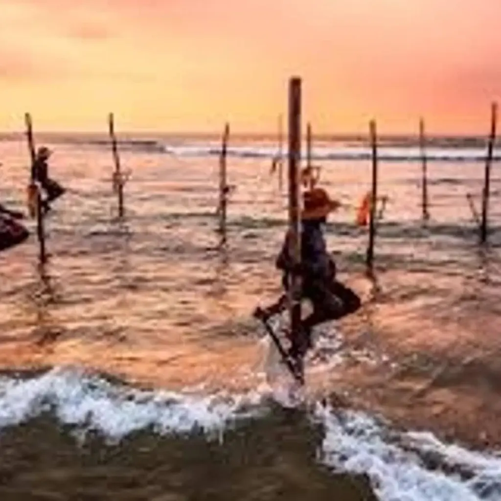 Explore Southern Coast Beach Tour for 6 days with Aitken Spence Travel and discover unforgettable experiences - Photo 2