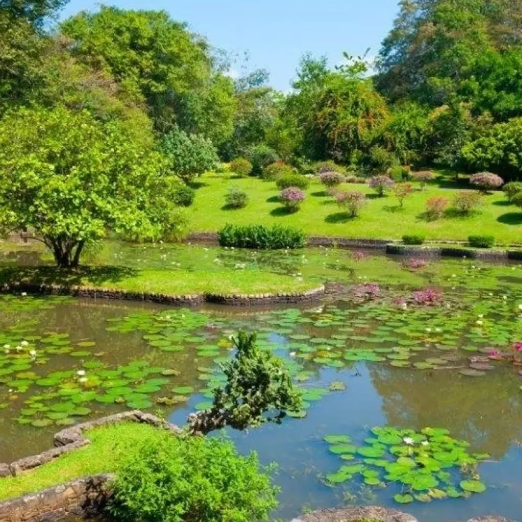 Explore Pearl of the Indian Ocean, Private Tour for 8 days with Aitken Spence Travel and discover unforgettable experiences - Photo 2