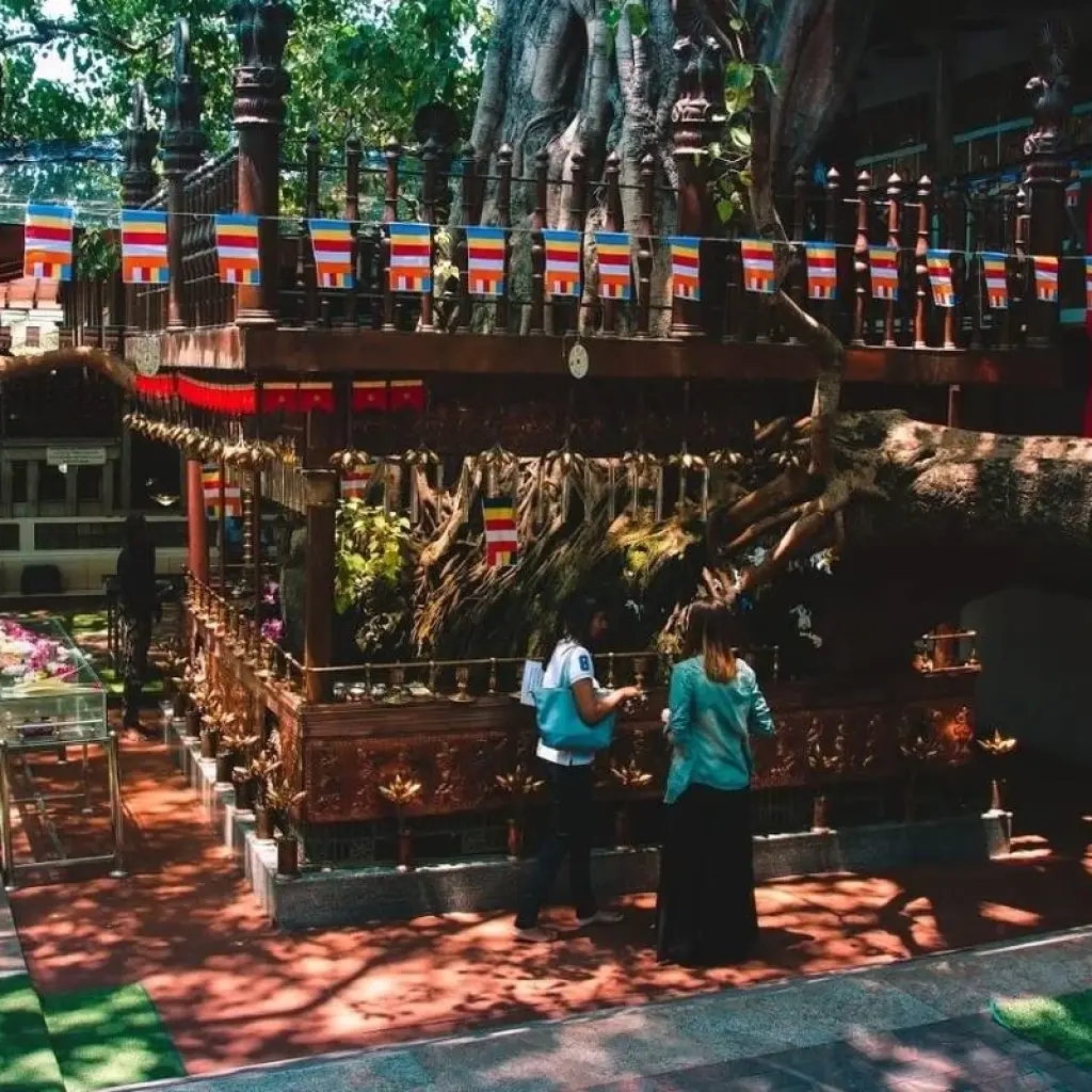 Explore The Vivid Green of Sri Lanka for 4 days with Aitken Spence Travel and discover unforgettable experiences - Photo 2