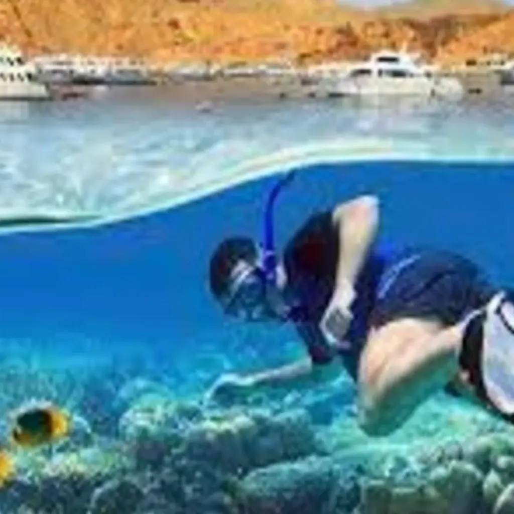Explore SNORKELING TOUR ON GIFTUN ISLAND for 1 days with Alacart Travel Egypt and discover unforgettable experiences - Photo 2