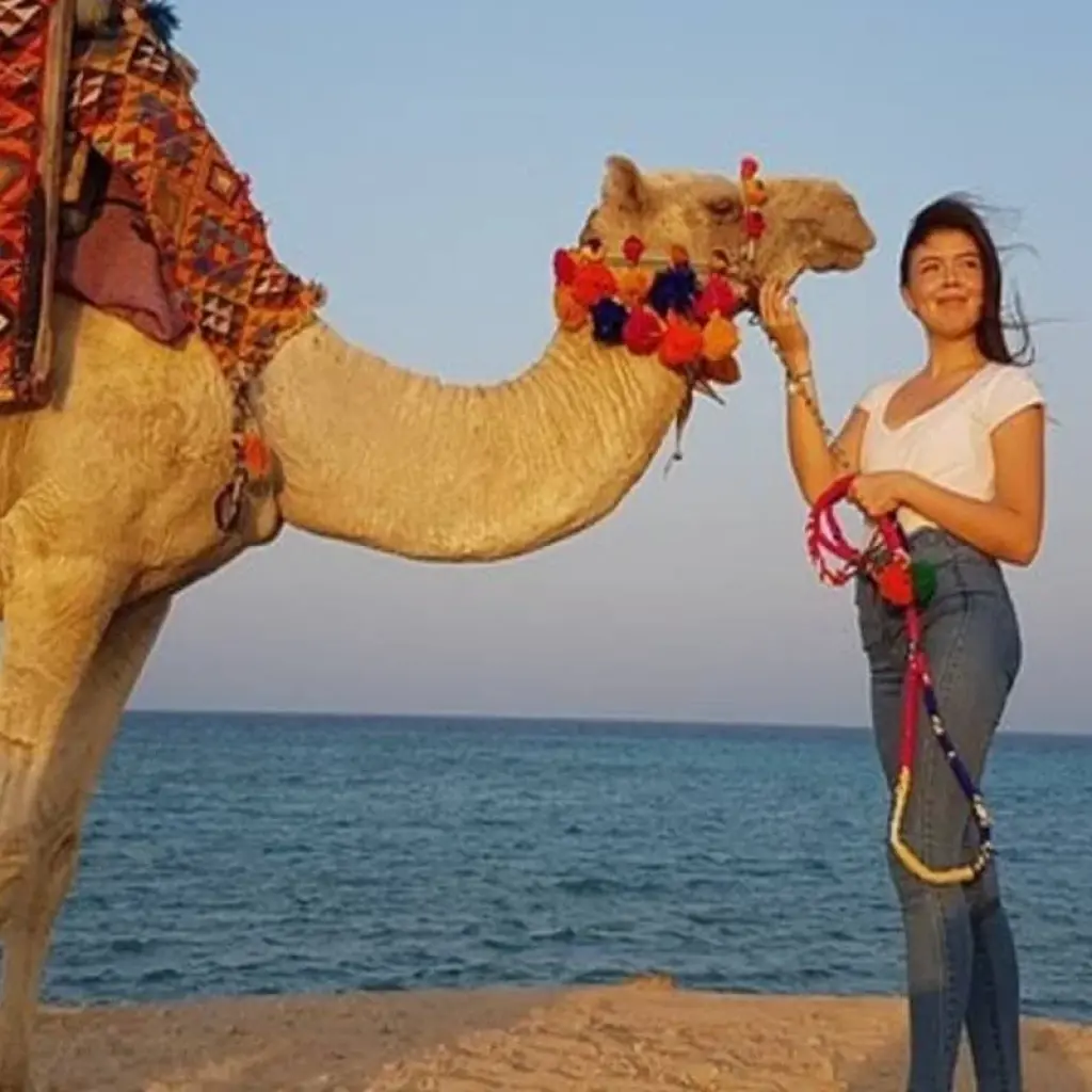 Explore EGYPTIAN FAMILY ADVENTURE for 8 days with Alacart Travel Egypt and discover unforgettable experiences - Photo 2
