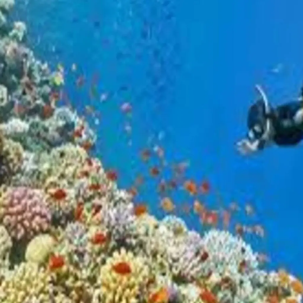 Explore PARADISE ISLAND FULL-DAY SNORKELING FROM HURGHADA for 1 days with Alacart Travel Egypt and discover unforgettable experiences - Photo 2