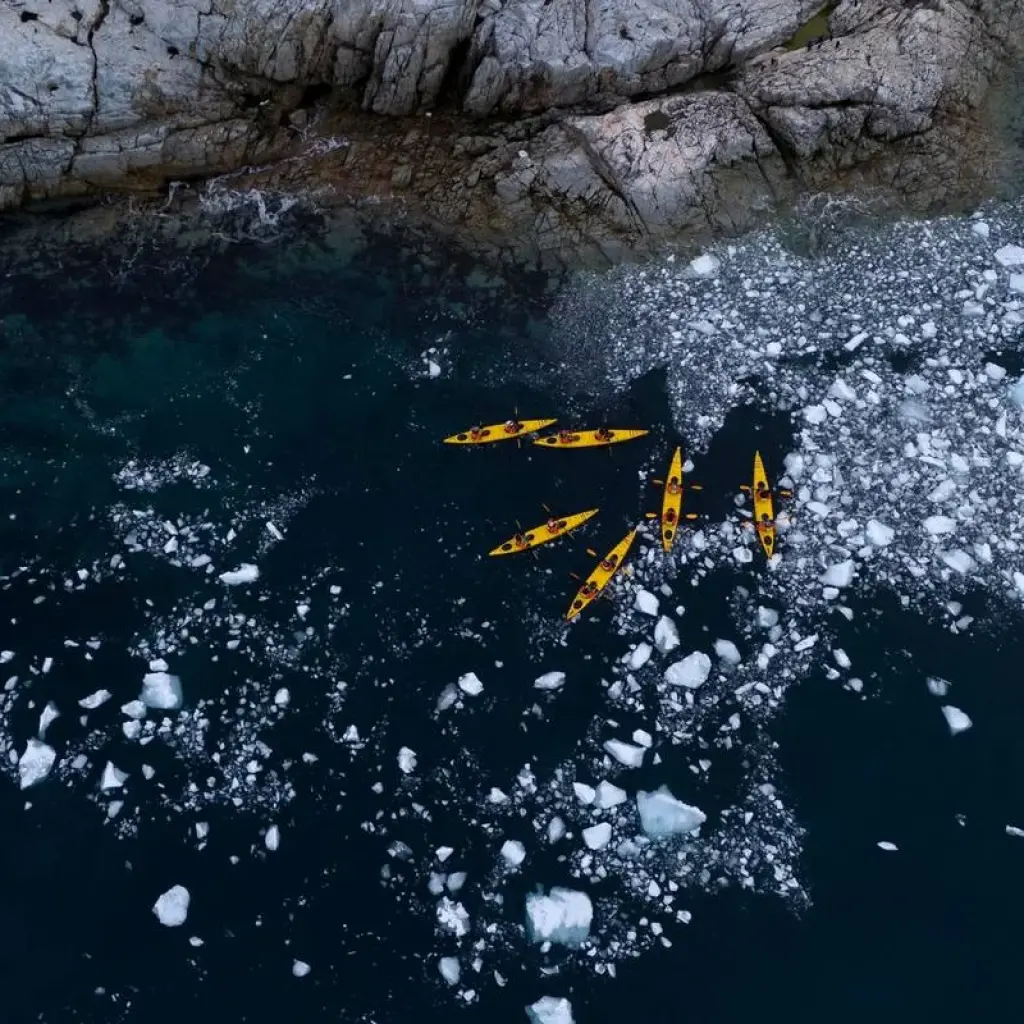 Explore Wild Isles of the South Atlantic for 16 days with Albatros Expeditions and discover unforgettable experiences - Photo 2