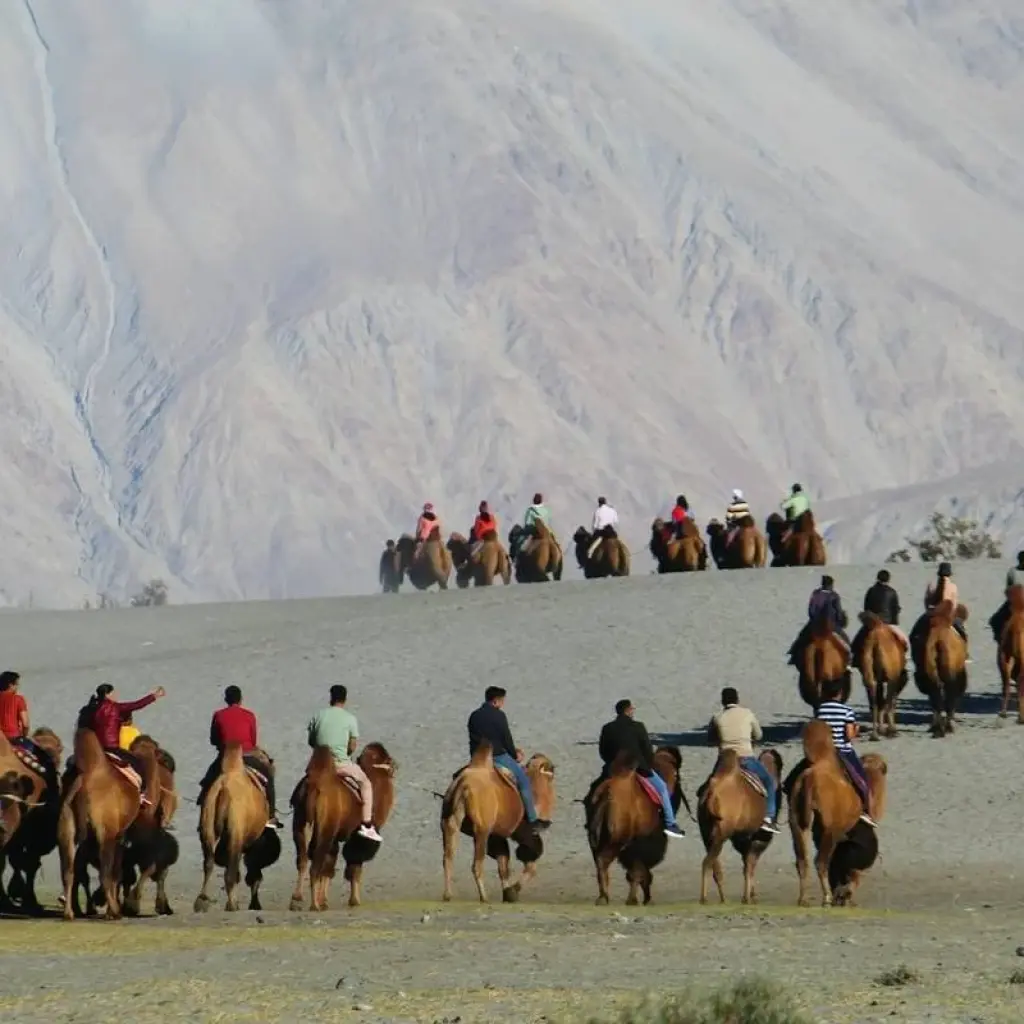 Explore Unveiling Ladakh: Cultural Experience with Sham Valley Soft Trek for 11 days with Alkof Holidays and discover unforgettable experiences - Photo 2