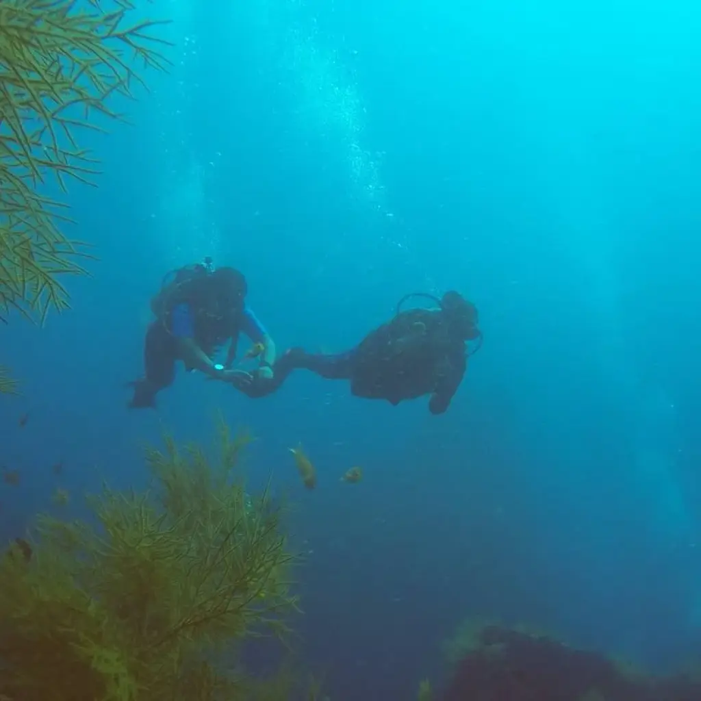 Explore Andaman Tour With Neil Islands for 7 days with Alkof Holidays and discover unforgettable experiences - Photo 2