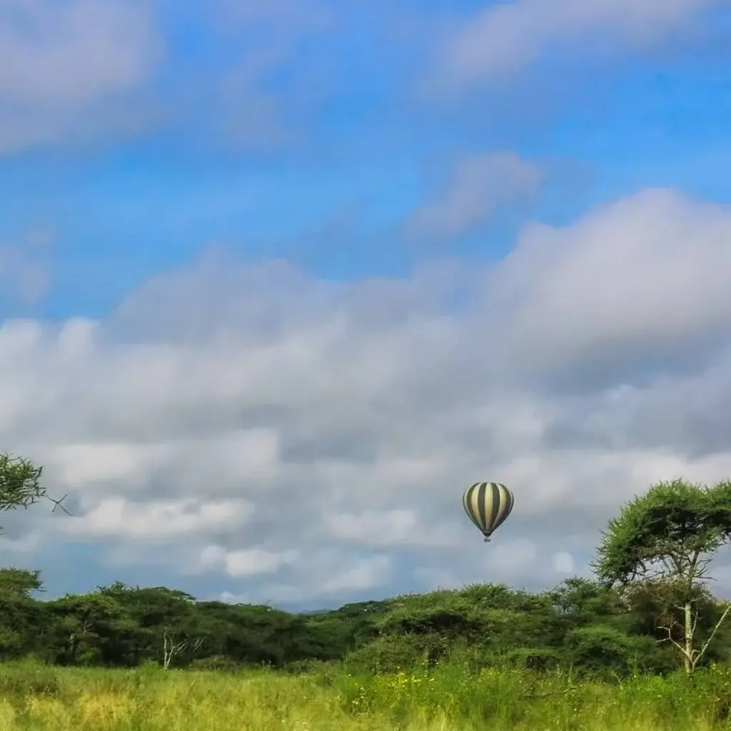Explore 5 Days Serengeti Flying Safari for 5 days with Almighty Kilimanjaro and discover unforgettable experiences - Photo 2