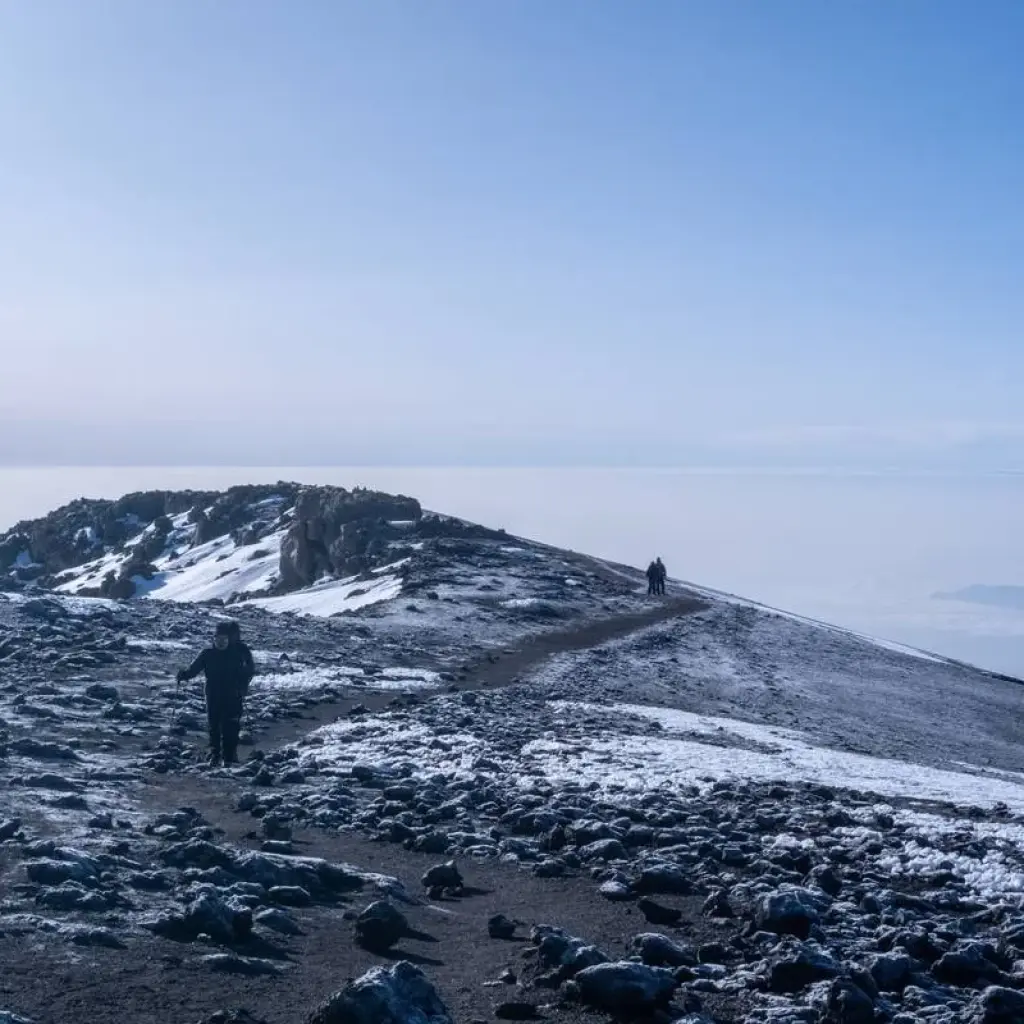 Explore 10 Days Northern Circuit Crater Route for 10 days with Almighty Kilimanjaro and discover unforgettable experiences - Photo 2
