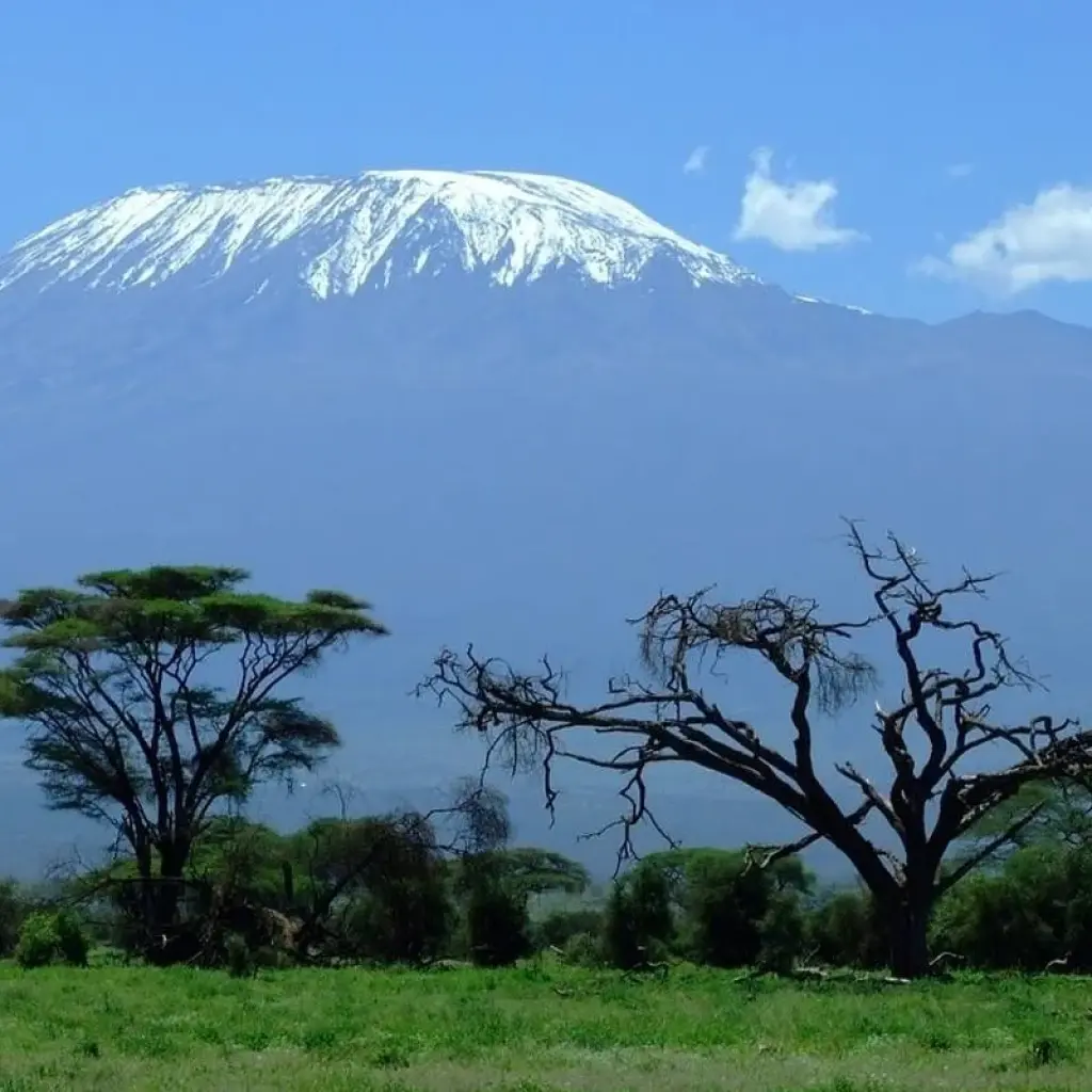 Explore Kilimanjaro climb machame route 6 days for 6 days with Almighty Kilimanjaro and discover unforgettable experiences - Photo 2