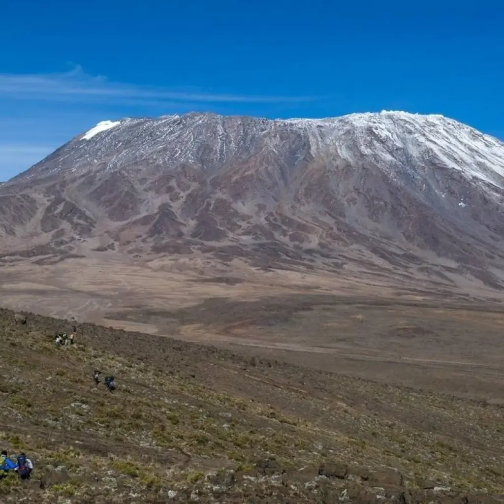 Explore Full  moon eclipse at the top of mount kilimanjaro for 6 days with Almighty Kilimanjaro and discover unforgettable experiences - Photo 2
