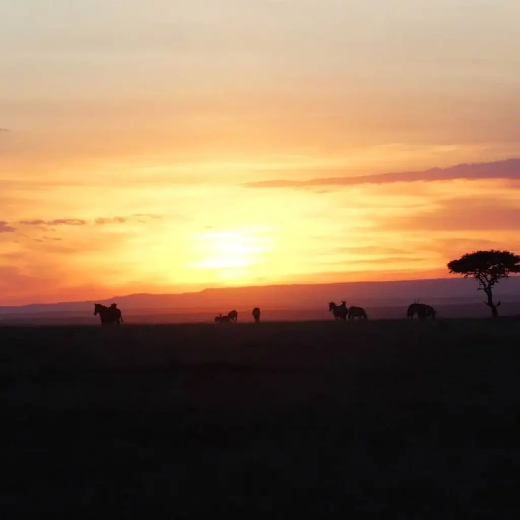 Explore Kenya- under canvas for 8 days with Almighty Kilimanjaro and discover unforgettable experiences - Photo 2