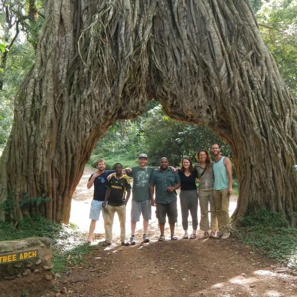 Explore 6 DAYS MIGRATION LODGING SAFARI for 6 days with Almighty Kilimanjaro and discover unforgettable experiences - Photo 2