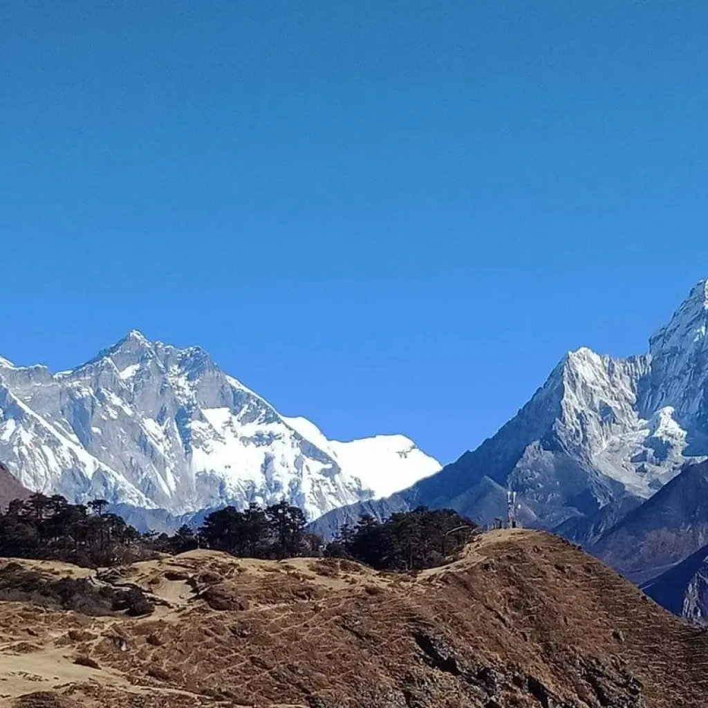 Explore Ghorepani Poonhill Trek-9 Days for 9 days with Alpine Club of Himalaya and discover unforgettable experiences - Photo 2