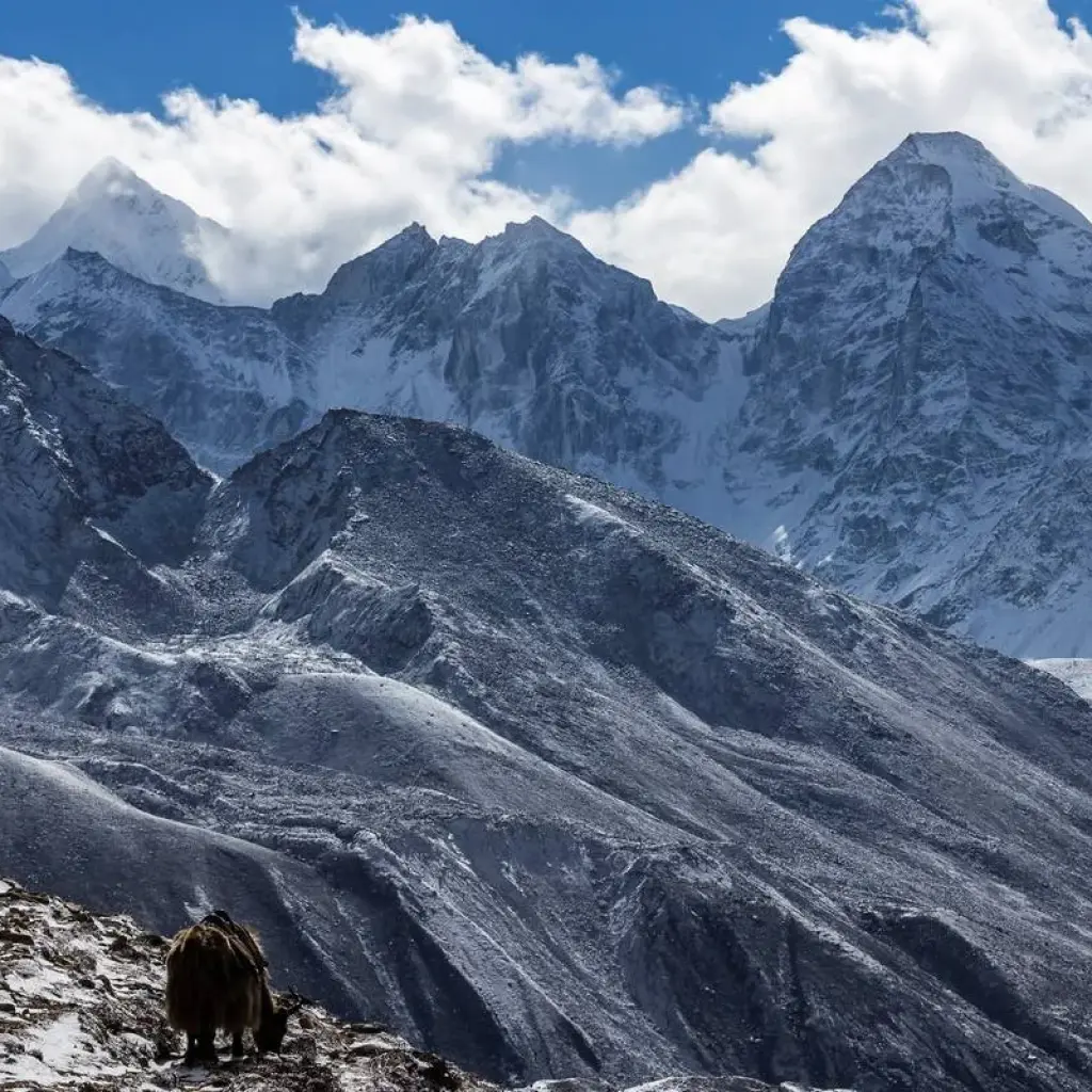 Explore Jiri To Everest Base Camp Trek - 21 Days for 21 days with Alpine Club of Himalaya and discover unforgettable experiences - Photo 2