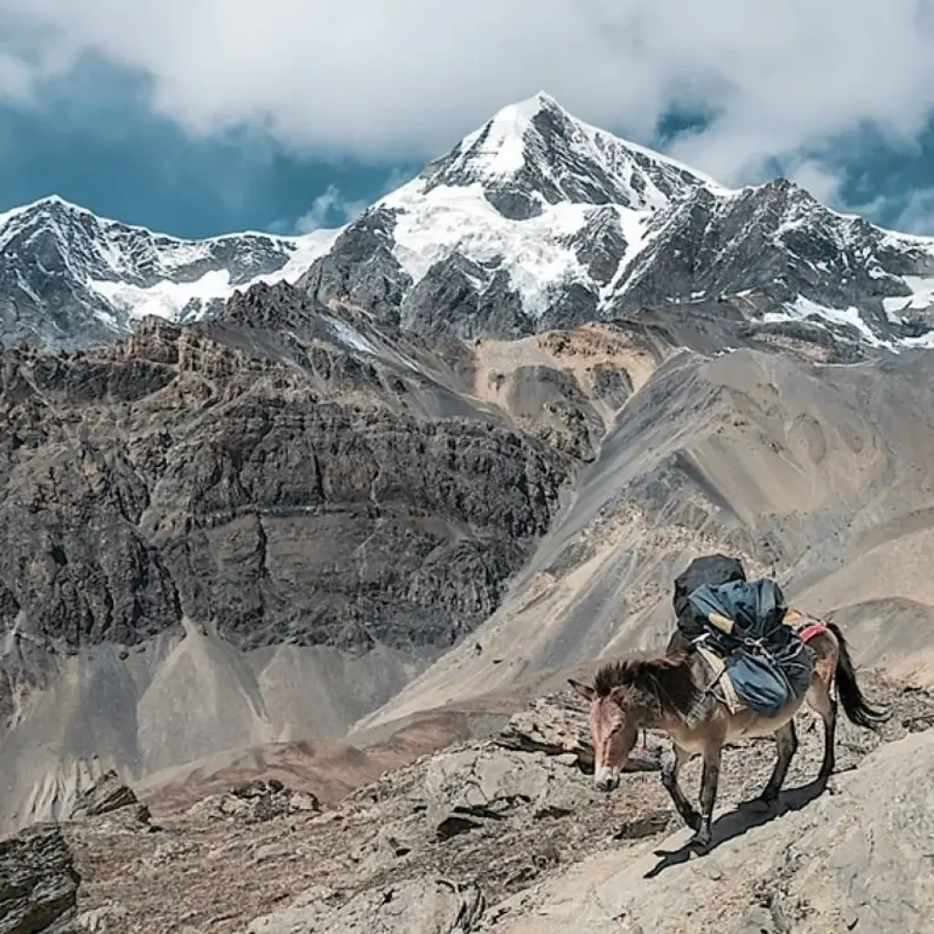 Explore Everest Base Camp Trek (Comfort) for 14 days with Alpine Ramble Treks  and discover unforgettable experiences - Photo 2