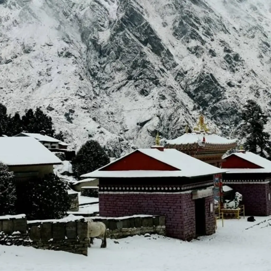 Explore Everest View Trek for 5 days with Alpine Ramble Treks  and discover unforgettable experiences - Photo 2