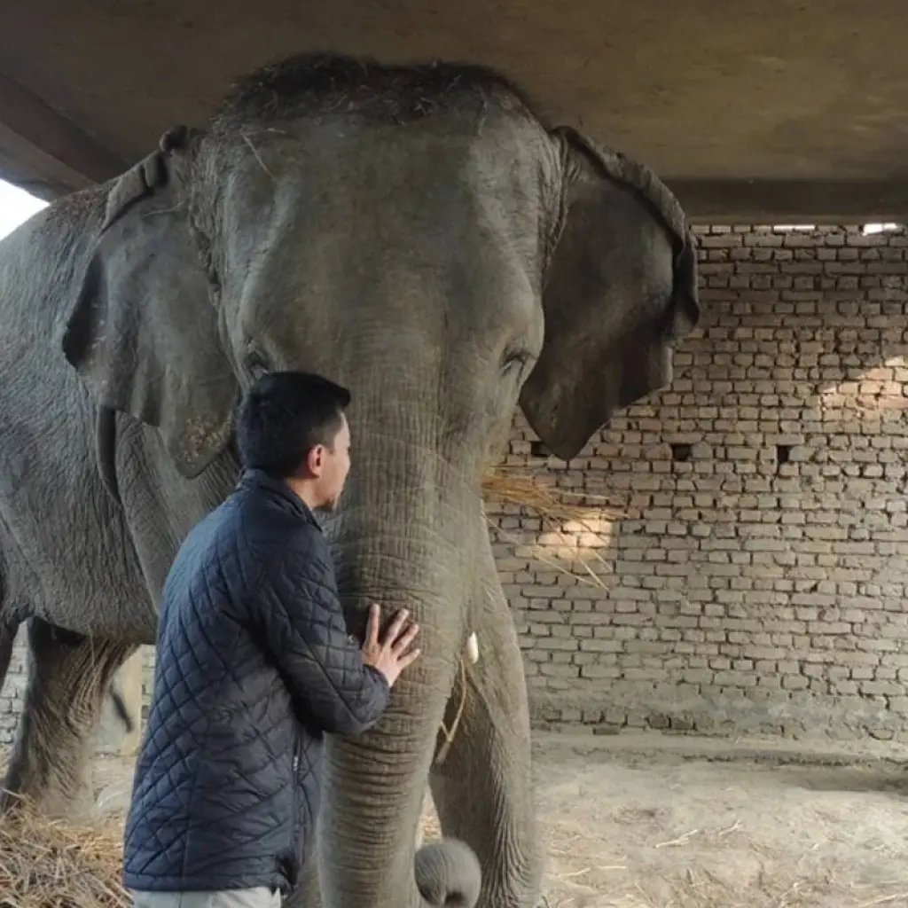 Explore Jungle Safari Tour - 2N/ 3 Day for 3 days with Alpine Ramble Treks  and discover unforgettable experiences - Photo 2
