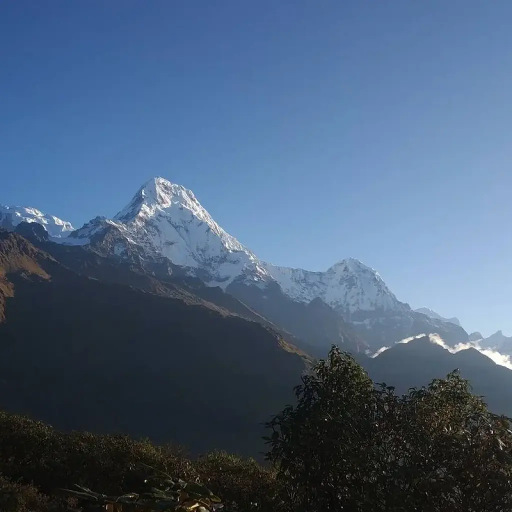 Explore Muldai and Khopra Trek for 14 days with Alpine Luxury Treks Pvt Ltd and discover unforgettable experiences - Photo 2