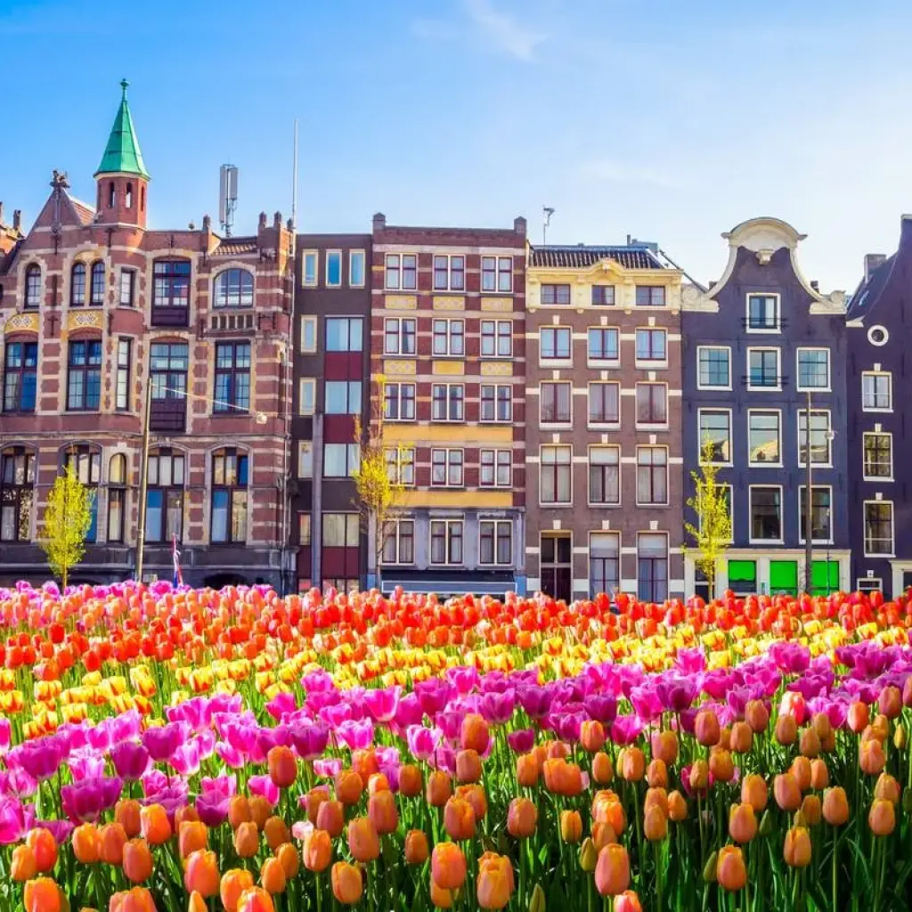 Explore Tulip Time 2026 for 8 days with AmaWaterways and discover unforgettable experiences - Photo 2