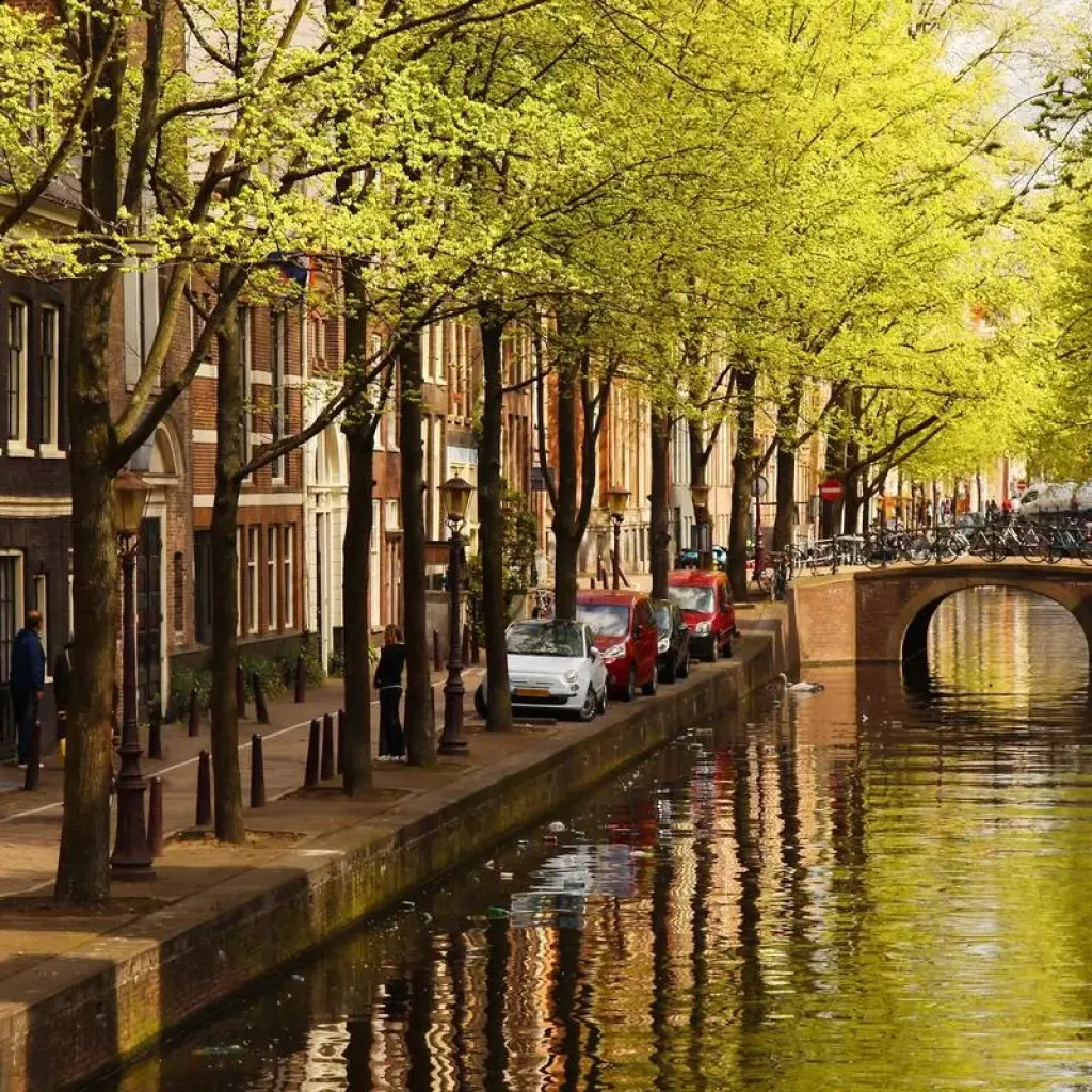 Explore Captivating Rhine 2026 for 8 days with AmaWaterways and discover unforgettable experiences - Photo 2