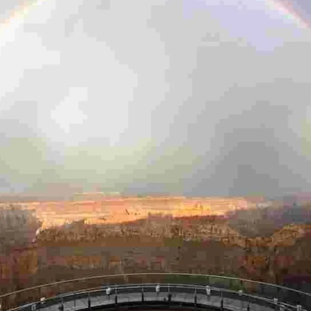 Explore Grand Canyon West Rim with Skywalk & Lunch Option for 1 days with Amadeo and discover unforgettable experiences - Photo 2