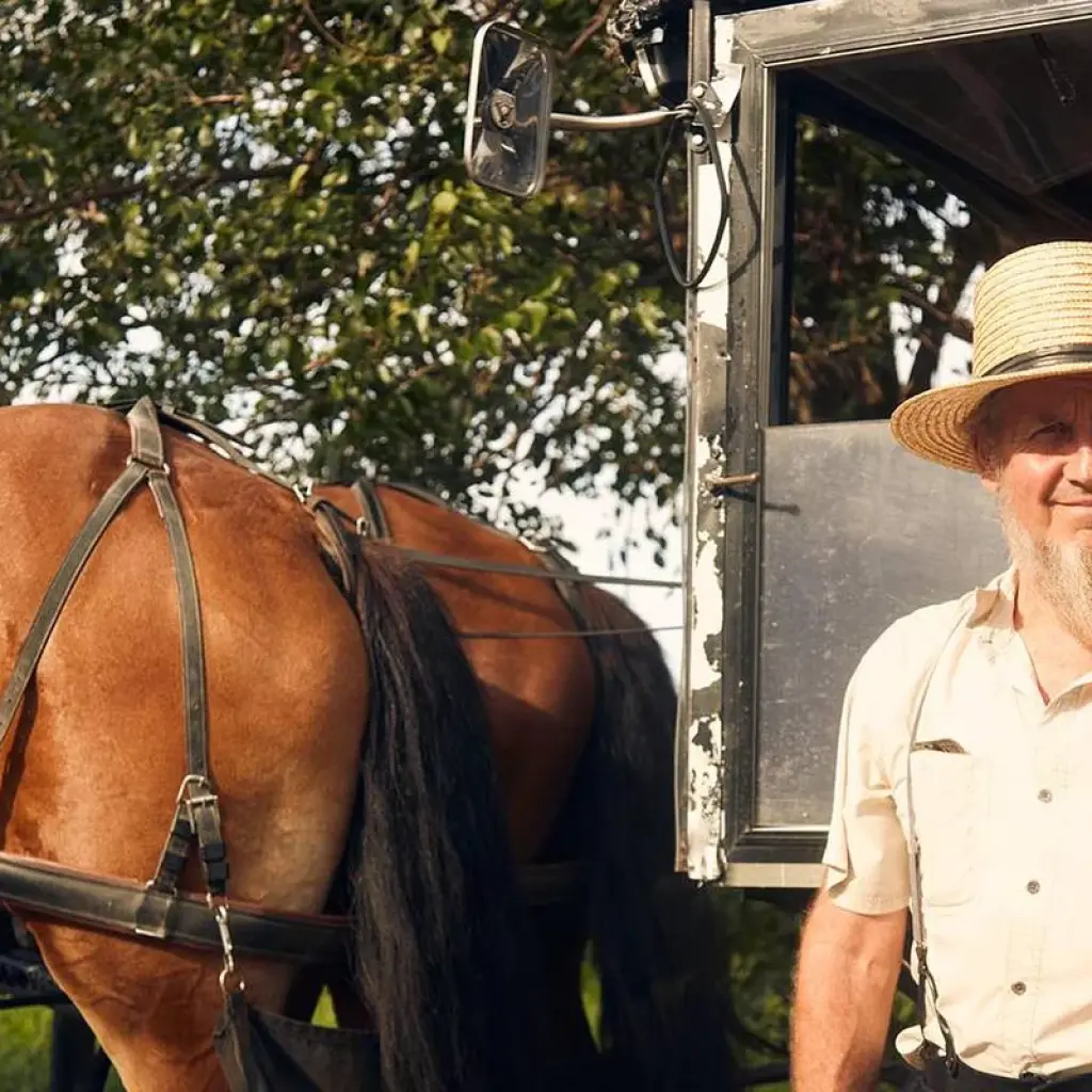 Explore Philadelphia and Amish Country, 1-Day Tour from NYC for 1 days with Amadeo and discover unforgettable experiences - Photo 2