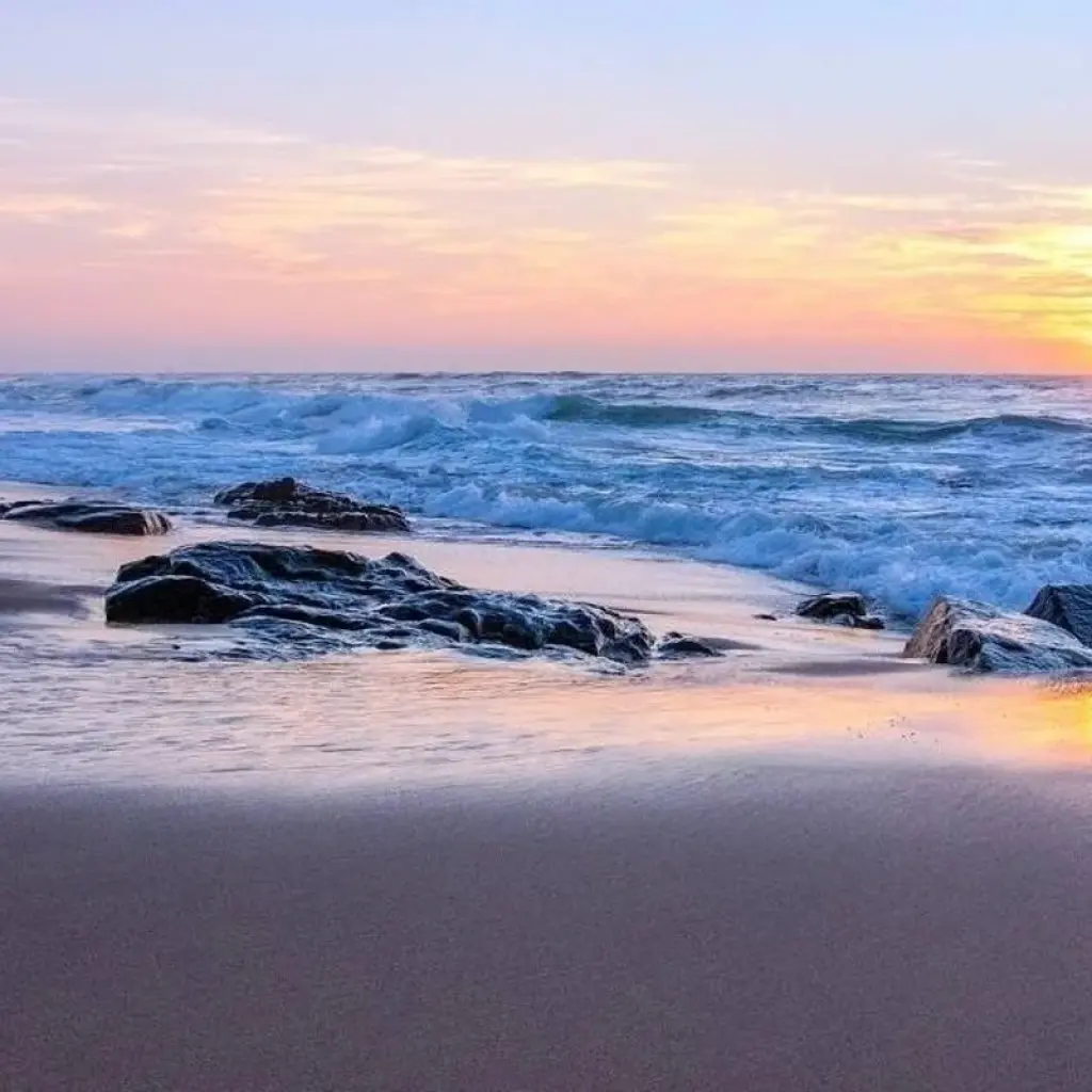 Explore Luxury Garden Route Journey from Cape Town for 5 days with Amatungulu Tour and discover unforgettable experiences - Photo 2