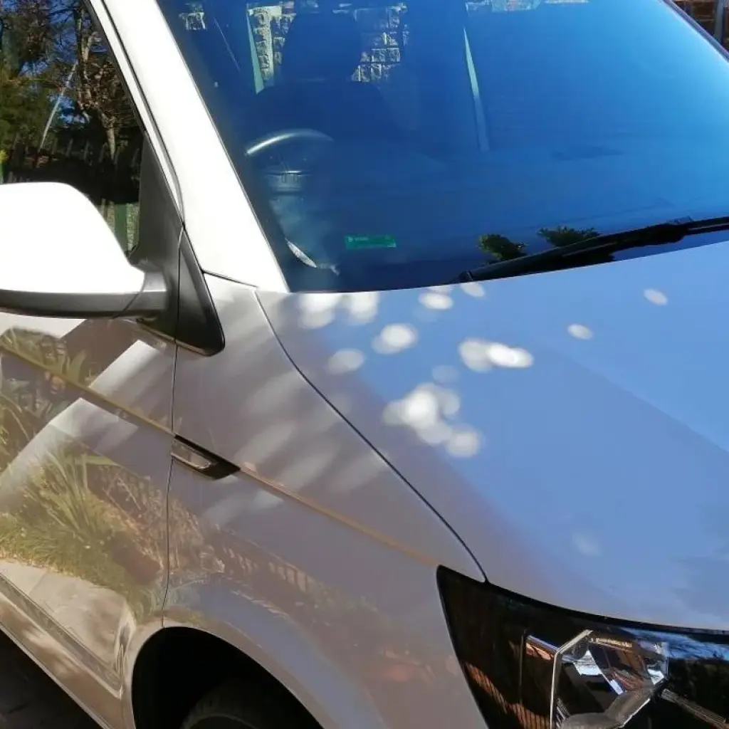 Explore Pilanesberg Wildlife Safari for 1 days with Amatungulu Tour and discover unforgettable experiences - Photo 2