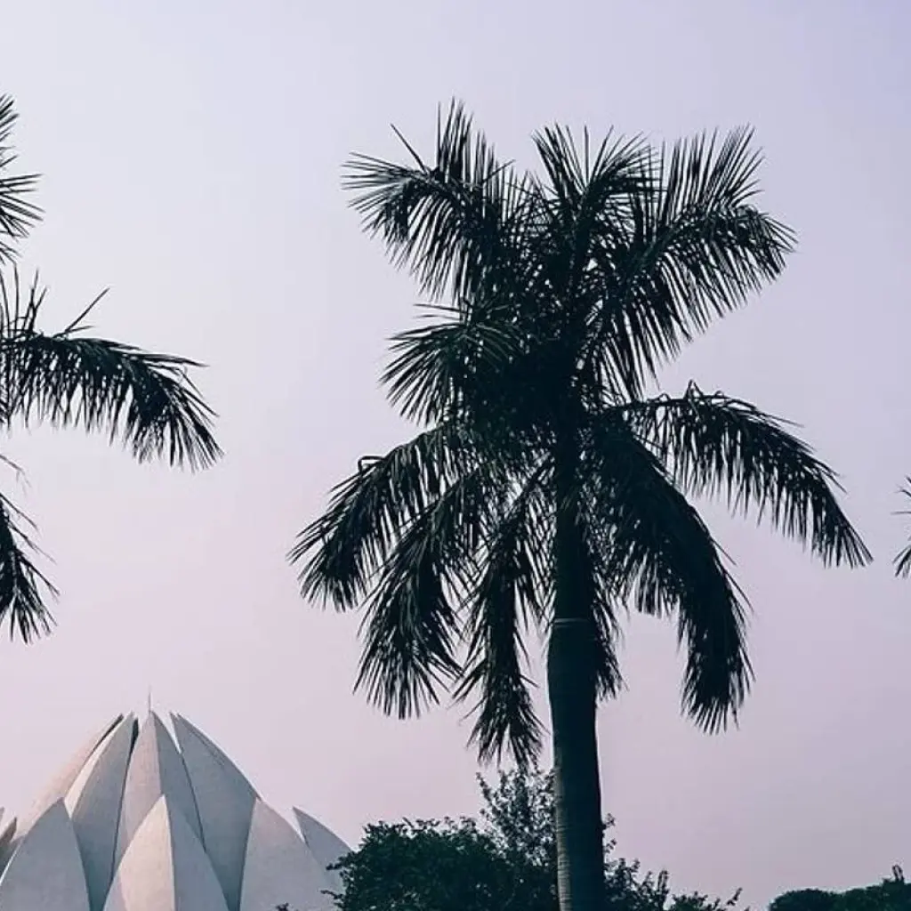 Explore Taj Mahal Sunrise and Sunset Tour with Bird Sanctuary for 3 days with Amazing India Tours and discover unforgettable experiences - Photo 2