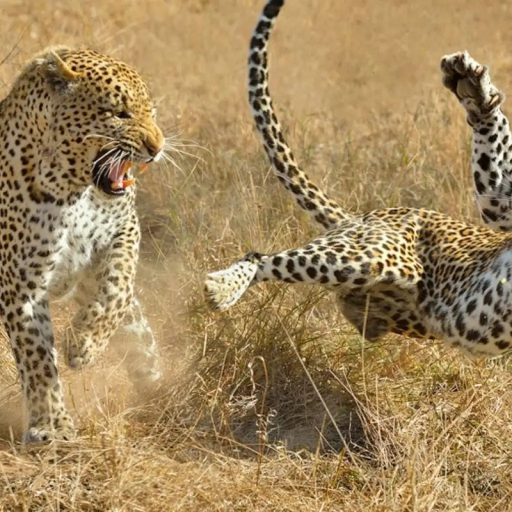 Explore Classic South India with Golden Triangle - ALL INCLUSIVE for 19 days with Amazing India Tours and discover unforgettable experiences - Photo 2