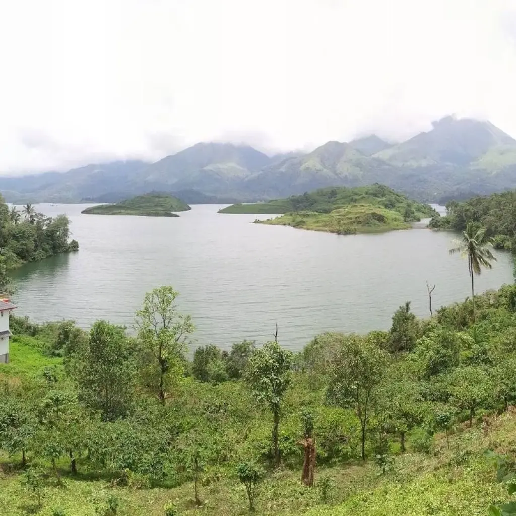 Explore Exotic tour of kerala for 8 days with Anaisha journey and discover unforgettable experiences - Photo 2