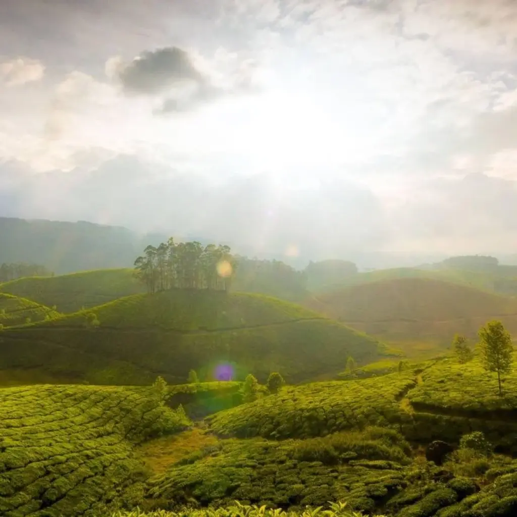 Explore Kerala honeymoon tour for 3 days with Anaisha journey and discover unforgettable experiences - Photo 2