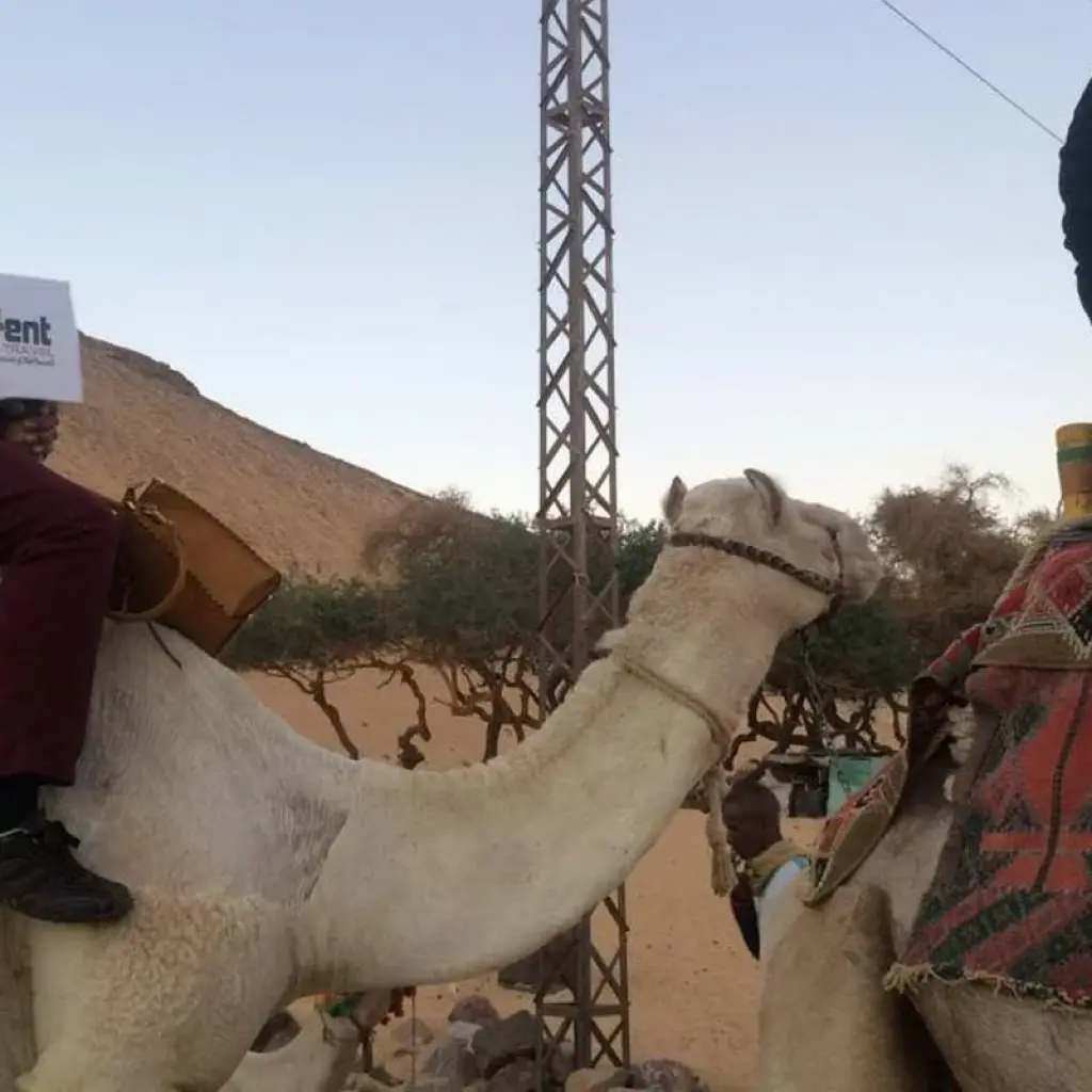 Explore Cairo, Alexandria, Nile Cruise and Red Sea ( Hurgada) for 14 days with Ancient Power Travel LLC and discover unforgettable experiences - Photo 2