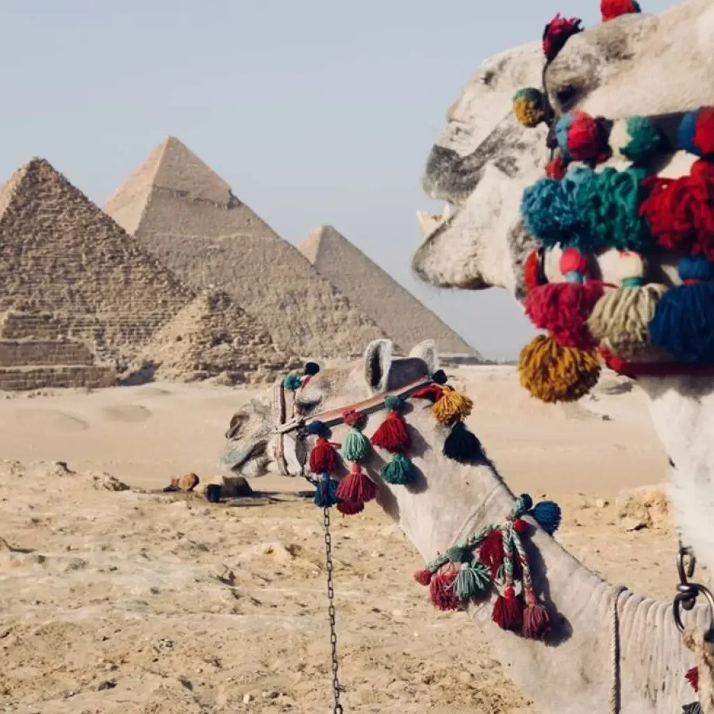 Explore 8 Days Cairo and Nile Cruise Holiday for 8 days with Ancient Egypt Tours and discover unforgettable experiences - Photo 2
