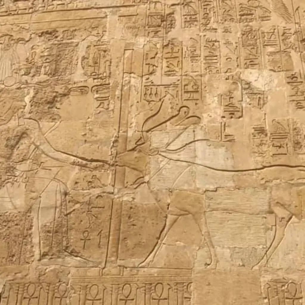 Explore 9 Days Cairo And Nile Cruise With Alexandria Holiday for 9 days with Ancient Egypt Tours and discover unforgettable experiences - Photo 2