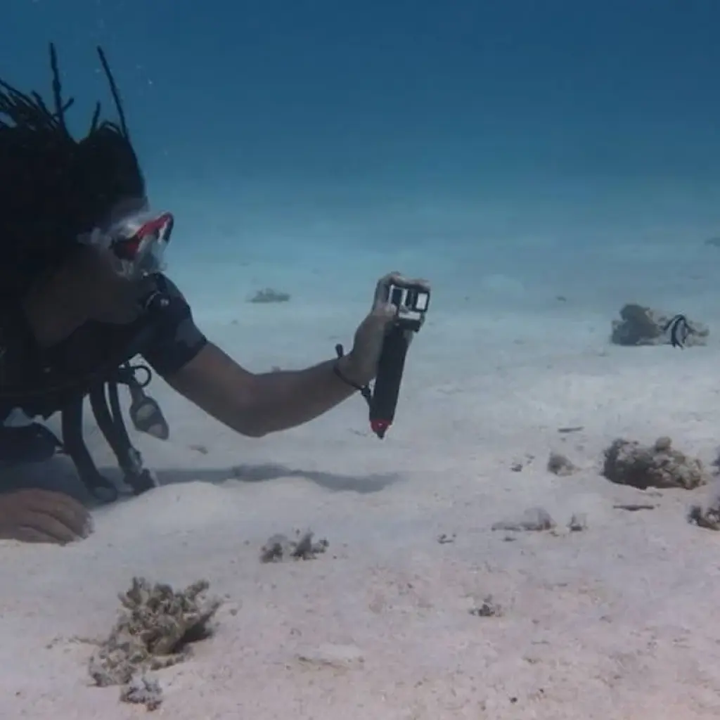 Explore 11 Days Cairo, Nile Cruise & Sharm El sheikh by Sleeper Train (9 destinations) for 11 days with Ancient Egypt Tours and discover unforgettable experiences - Photo 2