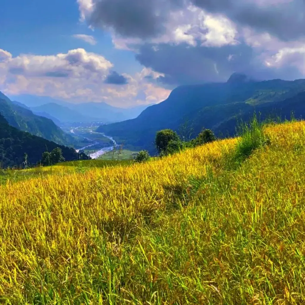 Explore Mardi Himal Trek for 9 days with Approved Holidays Pvt. Ltd. and discover unforgettable experiences - Photo 2