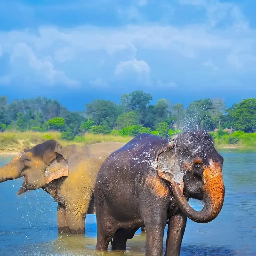 Explore Nepal Soft Adventure Tour for 9 days with Approved Holidays Pvt. Ltd. and discover unforgettable experiences - Photo 2