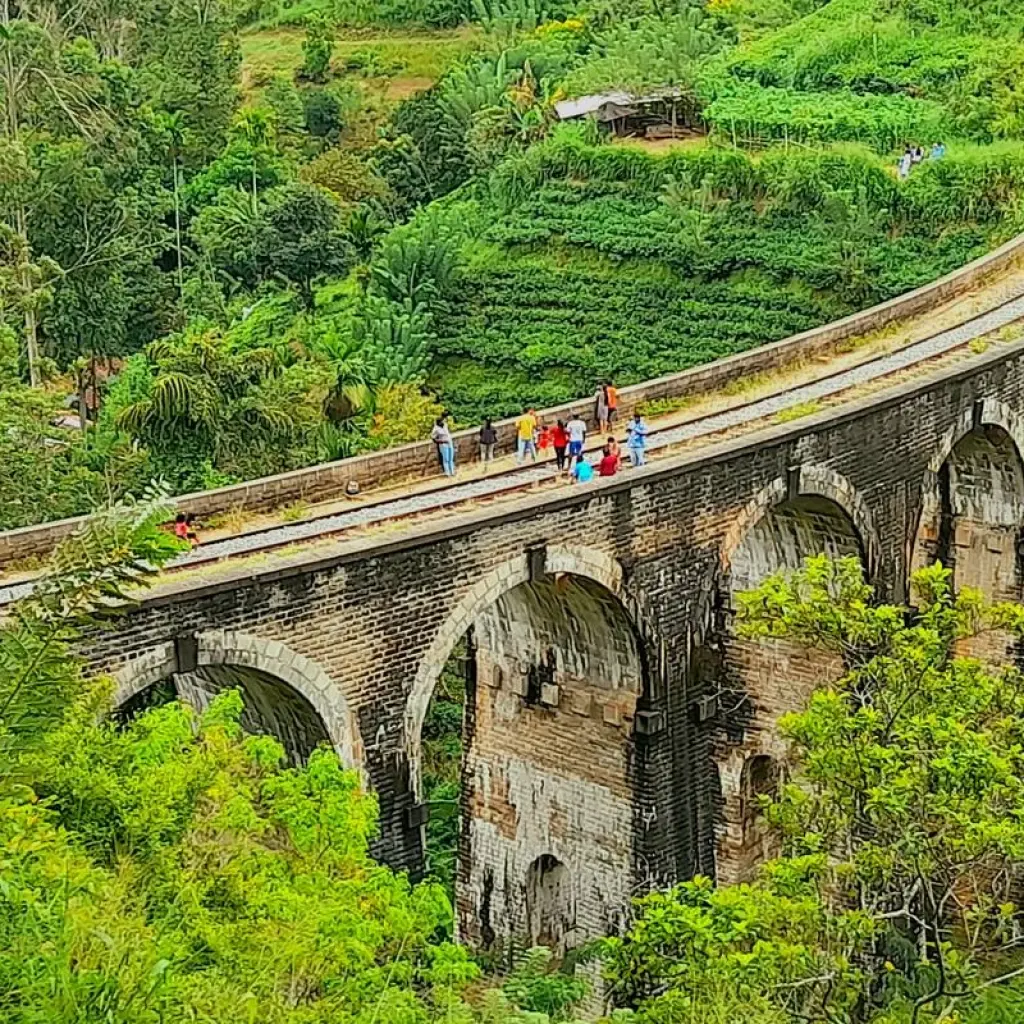 Explore 03 Days Tour to Sigiriya, Kandy, Nuwara Eliya, Ella & Udawalawe for 3 days with Apple Vacations Pvt Ltd and discover unforgettable experiences - Photo 4