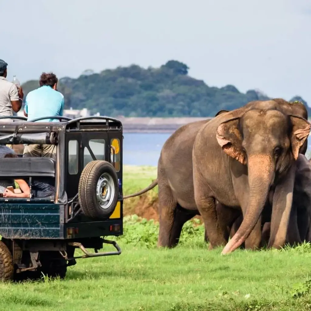 Explore Exploring Sri Lanka's Enchanting Landscapes for 6 days with Apple Vacations Pvt Ltd and discover unforgettable experiences - Photo 3