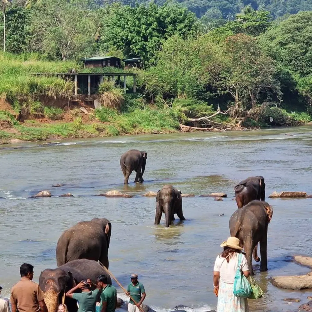 Explore 06 Days of Budget Friendly Sri Lanka for 6 days with Apple Vacations Pvt Ltd and discover unforgettable experiences - Photo 2
