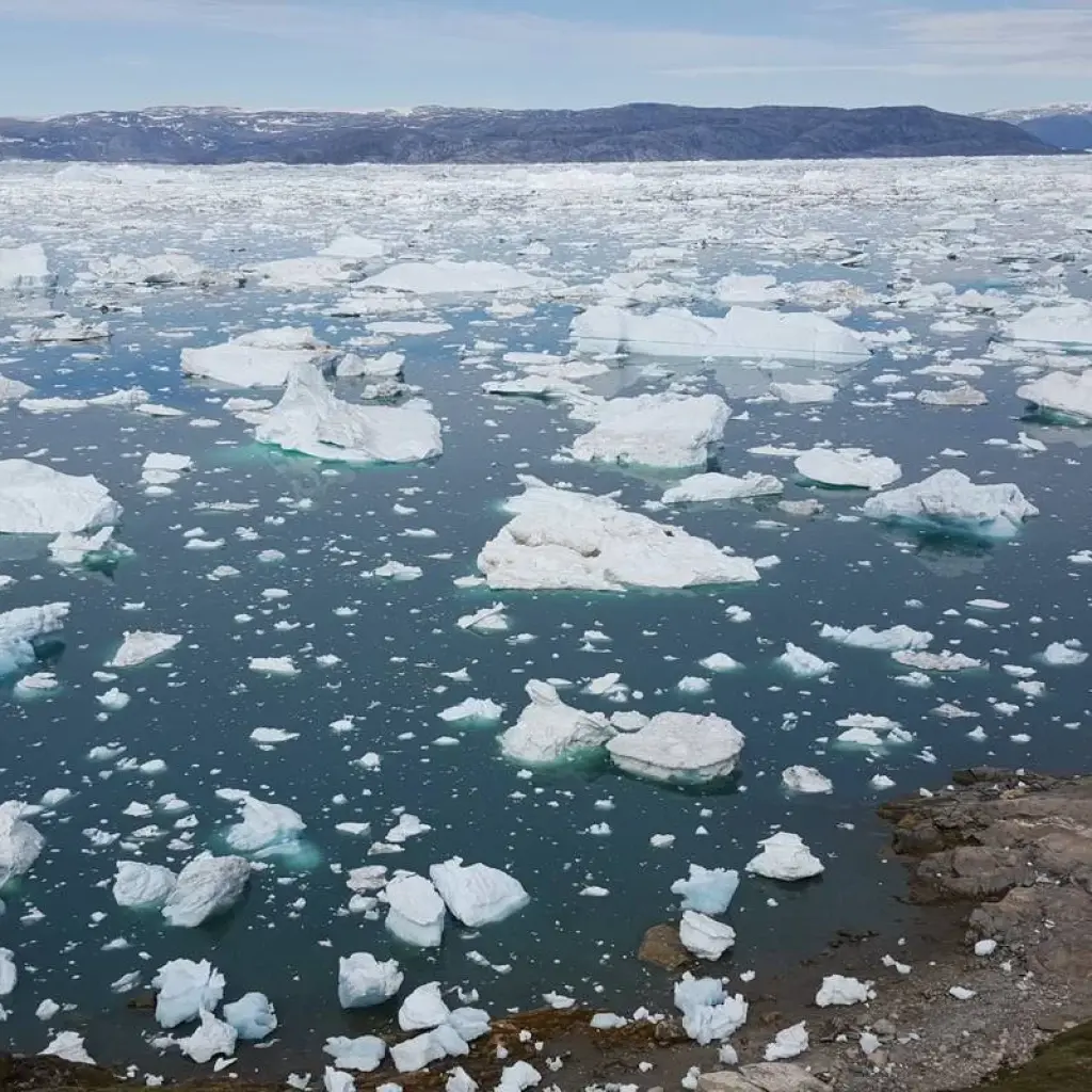 Explore The Icefjord Trek for 8 days with Arctic Hiking and Expeditions. and discover unforgettable experiences - Photo 2