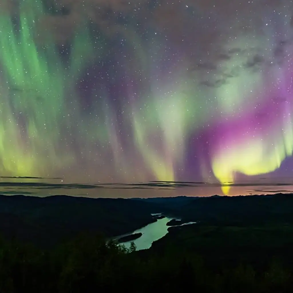Explore Arctic Tundra & Dawson City | Naturally Wild for 6 days with Arctic Range Adventure and discover unforgettable experiences - Photo 5