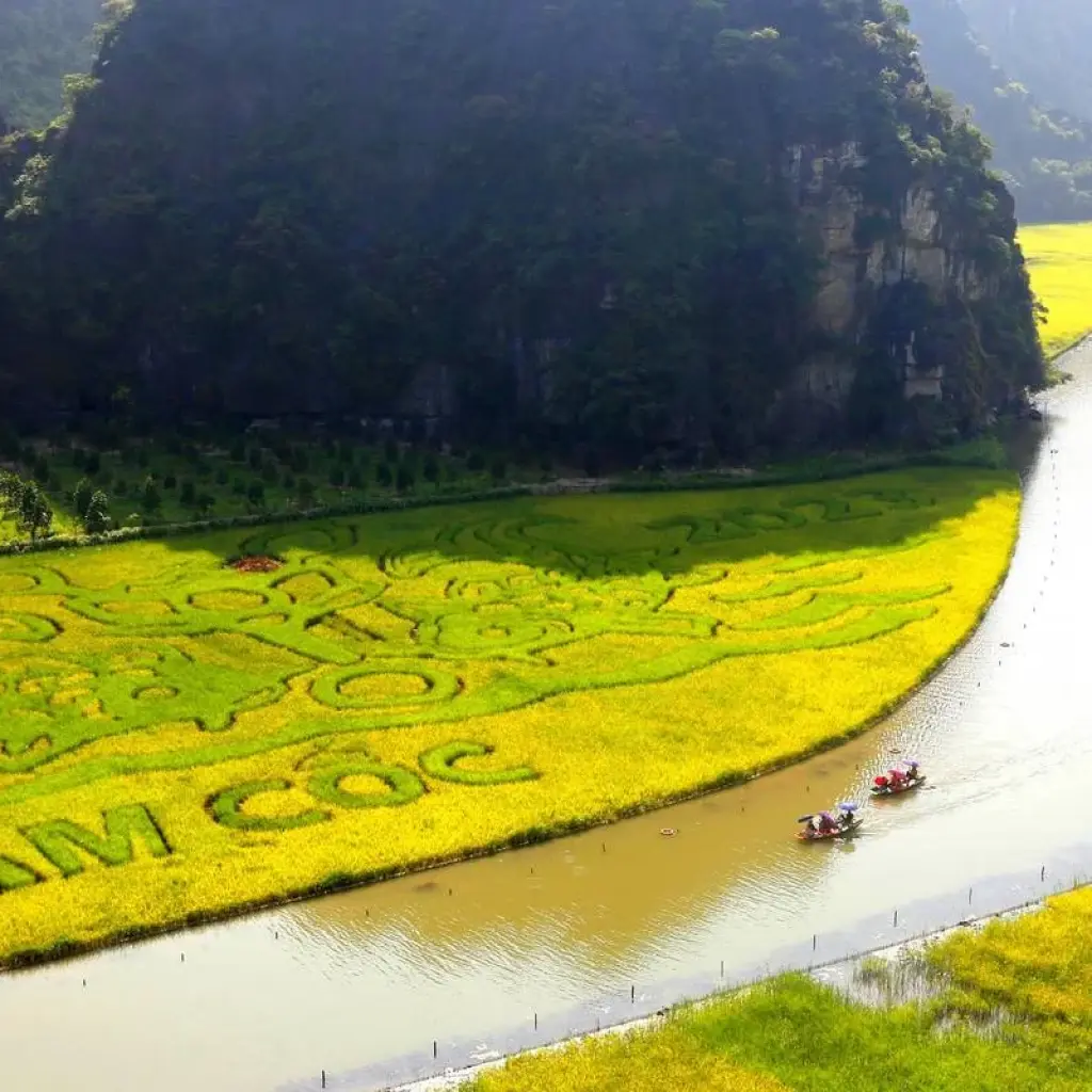 Explore 9 Days Northern Vietnam: From the Mountain to the Sea for 9 days with Asia King Travel and discover unforgettable experiences - Photo 2